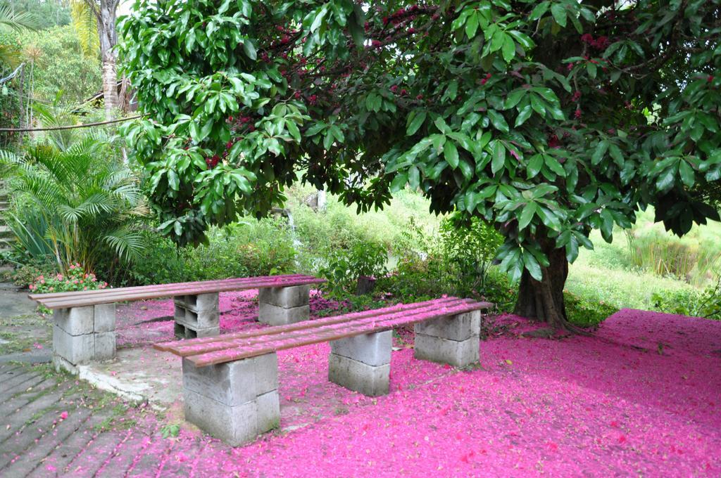 Eco Pousada Eldorado Lumiar Extérieur photo