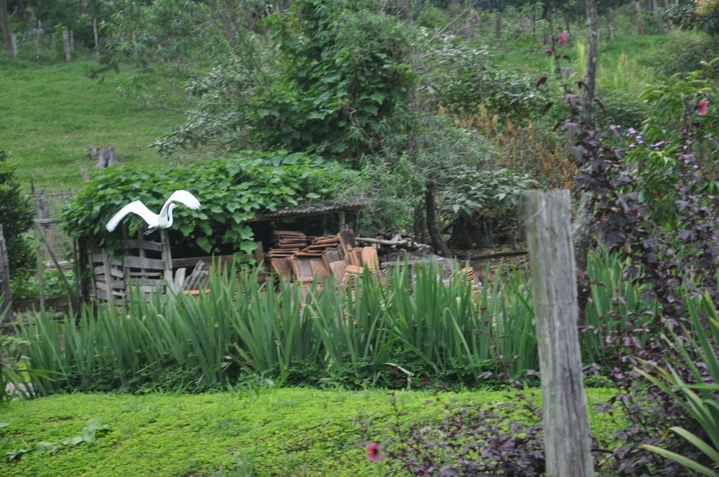 Eco Pousada Eldorado Lumiar Extérieur photo